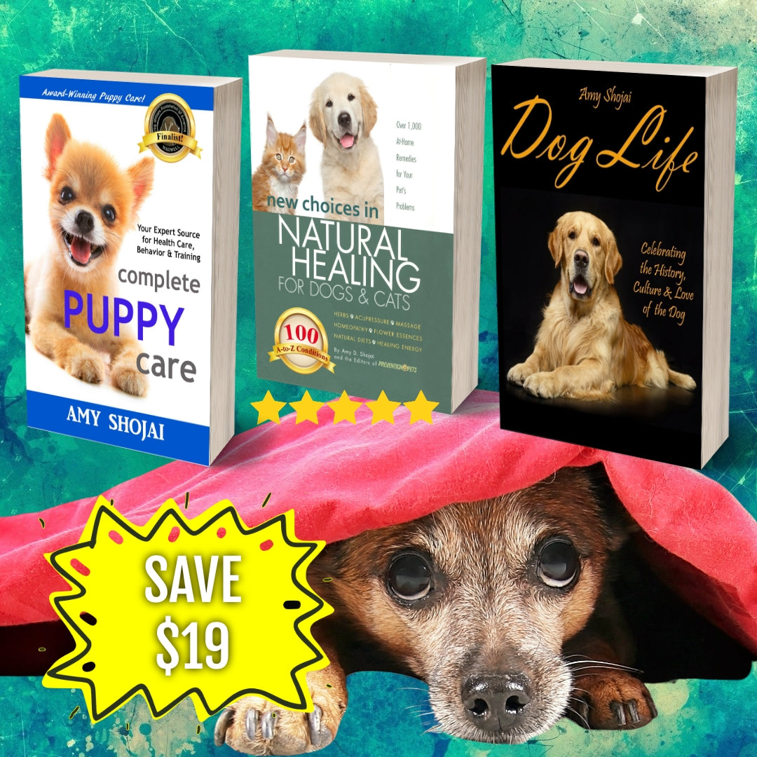 3 Dog Books Holiday Deal