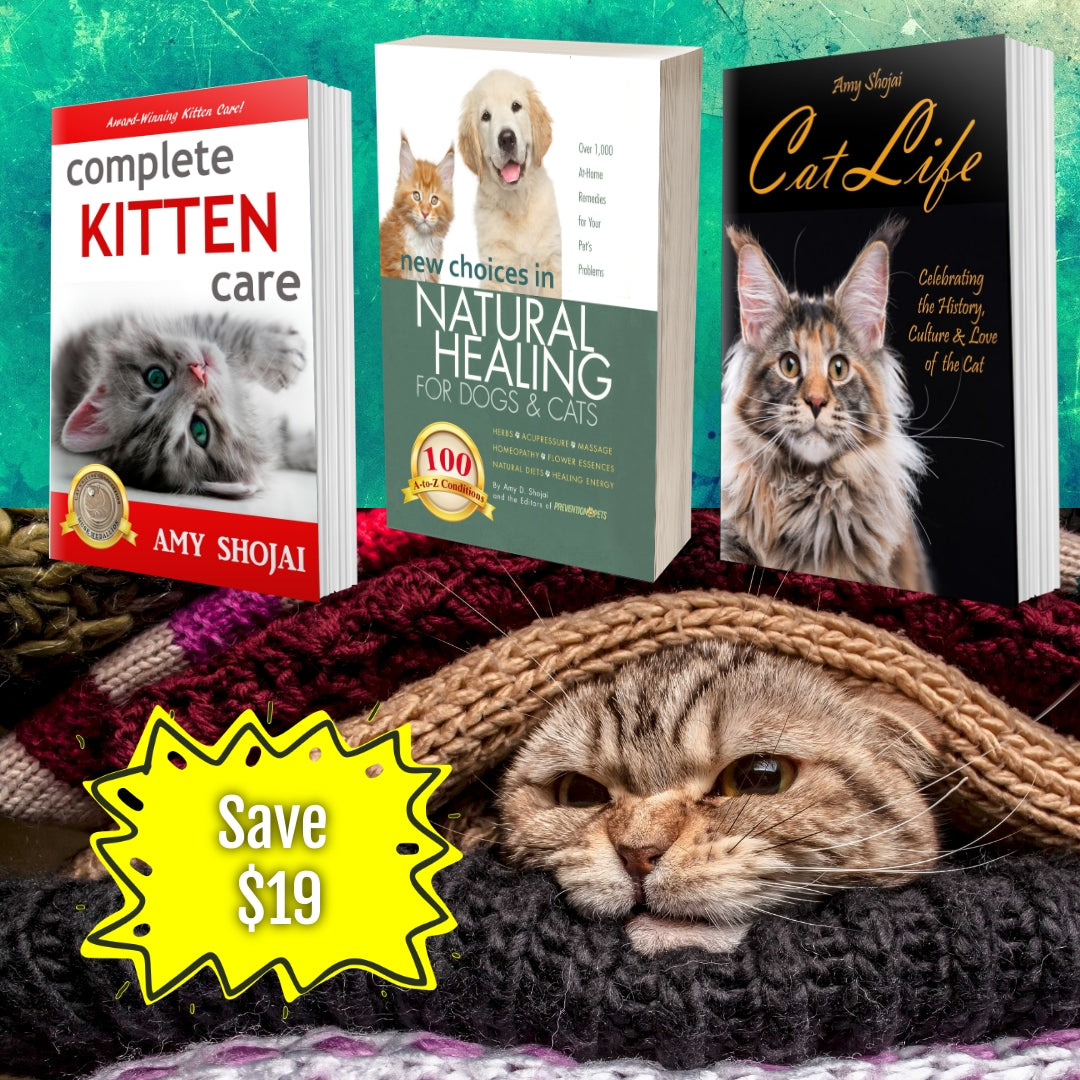 3 Cat Books Holiday Deal