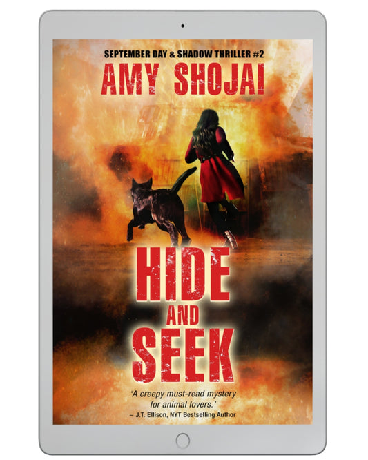 Hide And Seek (EBook)