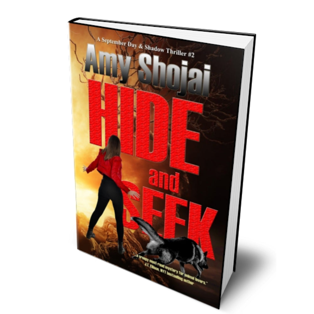 Hide And Seek (Hardcover)