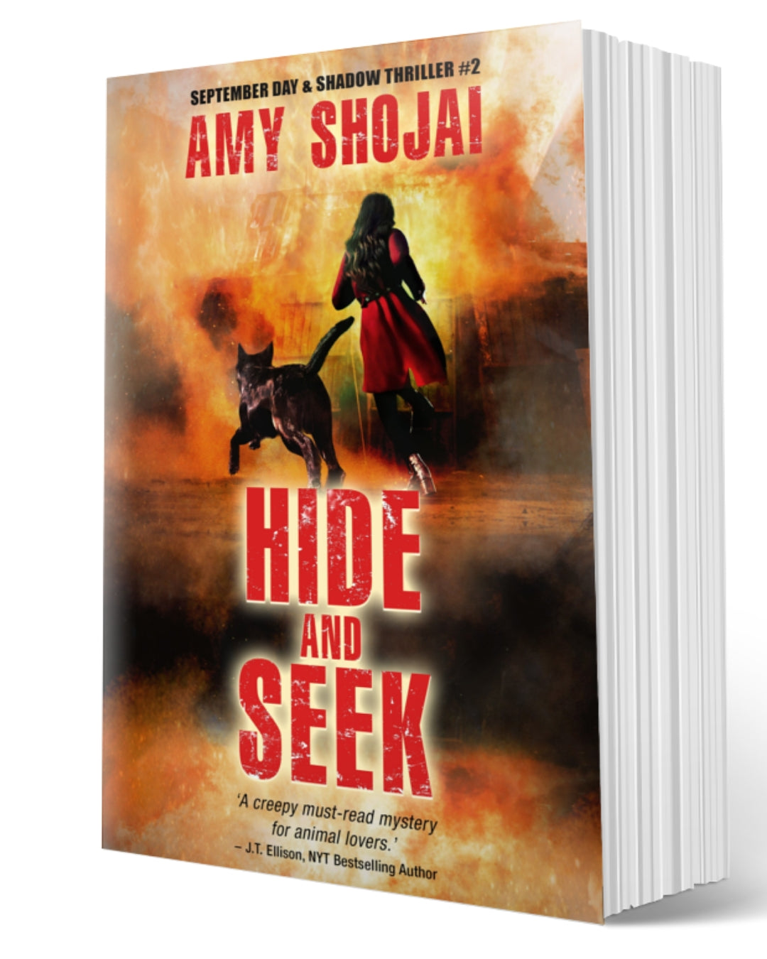 Hide And Seek (Paperback)