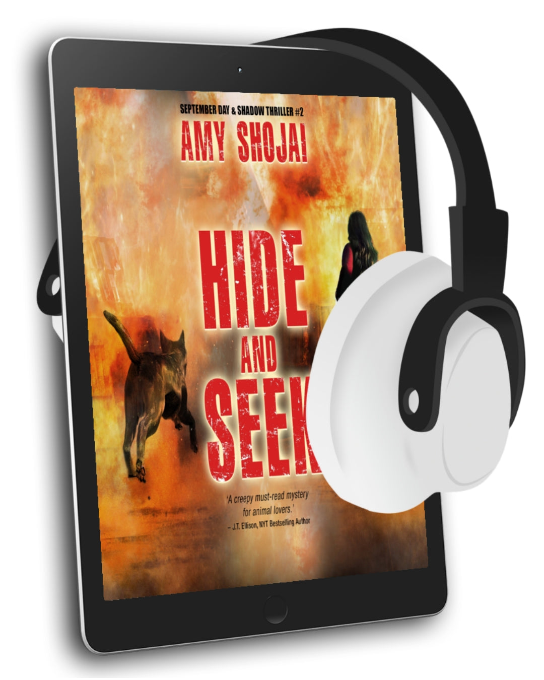 Hide And Seek (Audio)