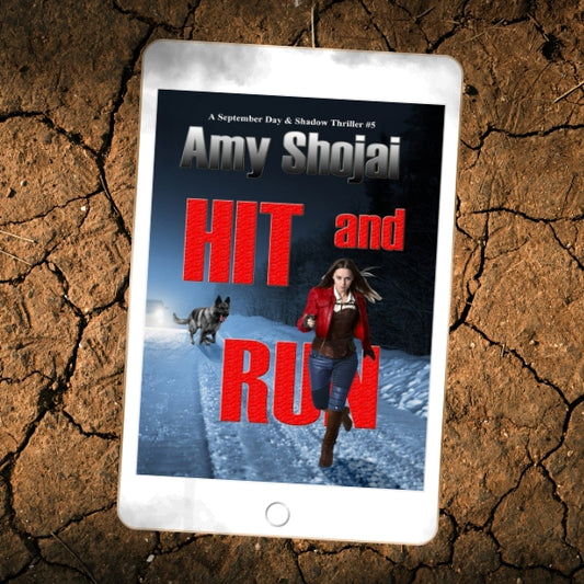 Hit And Run (Ebook)
