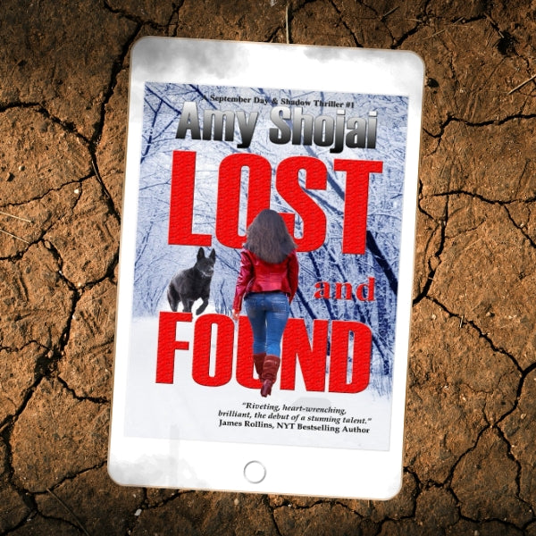 Lost And Found (Ebook)