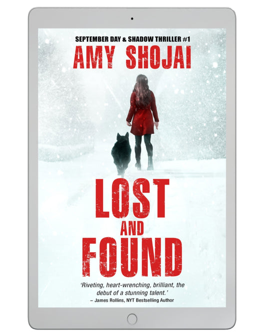 Lost And Found (Ebook)