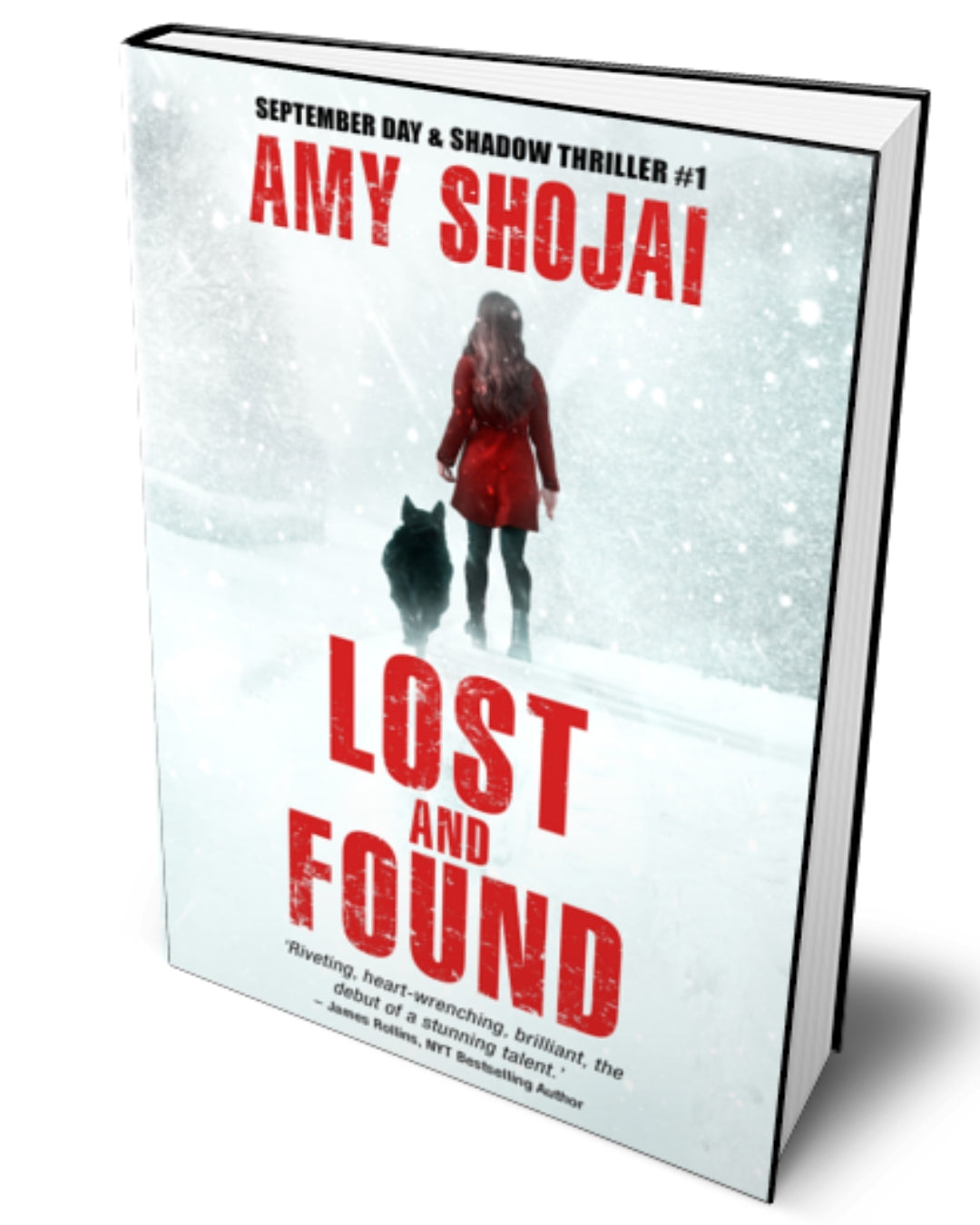 Lost And Found (Hardcover)