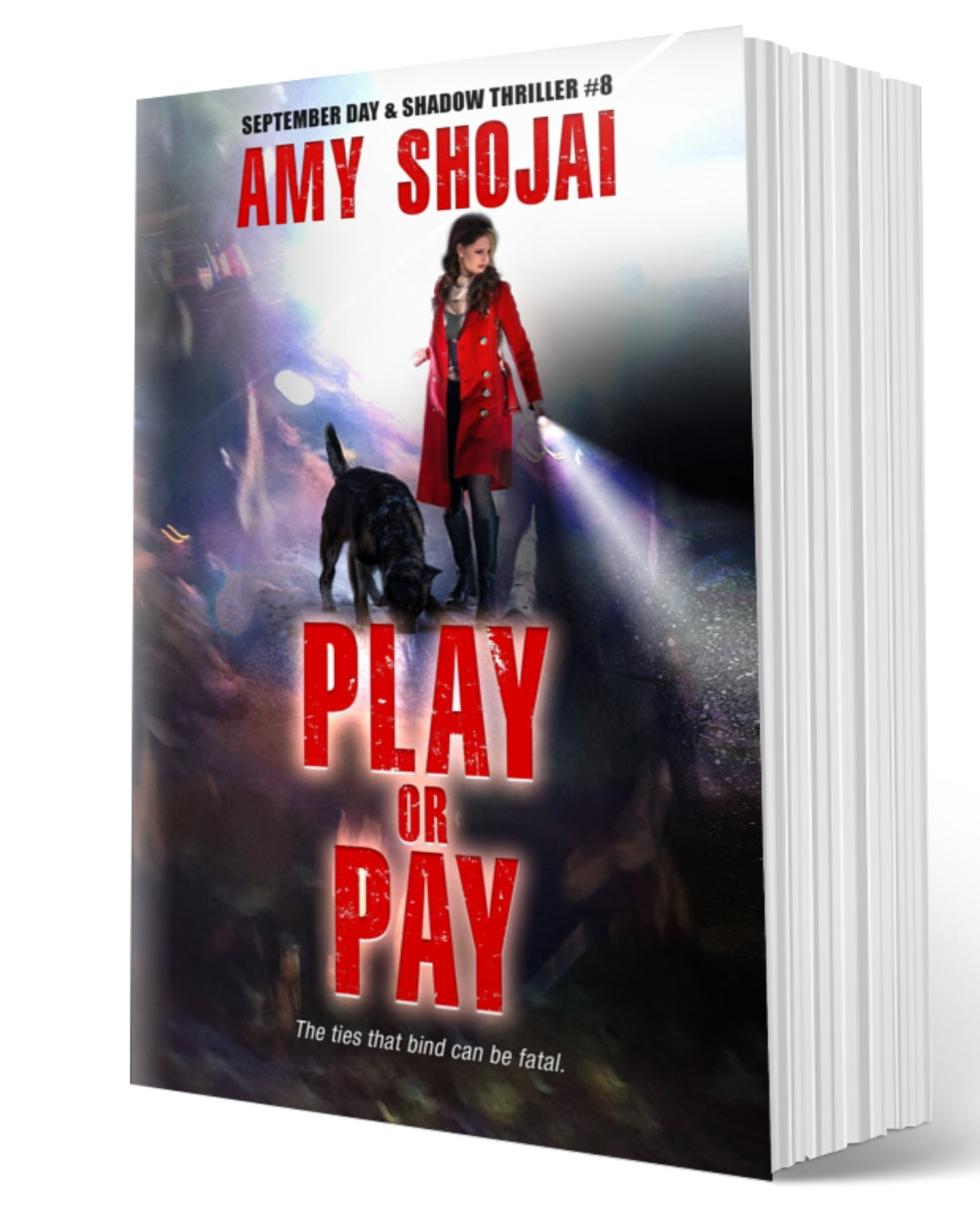 Play Or Pay (Paperback)